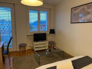 Furnished 1,5 Rooms Apartment Lausanne - 6