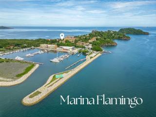 Rosa Tropical in Marina Real - 9