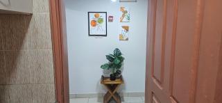 Le cocon - 5