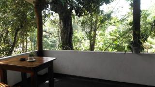 Manel homstray - 8