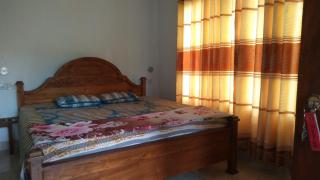 Manel homstray - 1