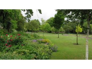 Quiet 4-Bed Cardiff Home Near Roath Park - 4