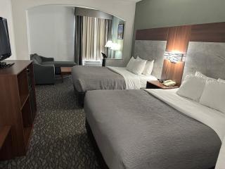 Quality Suites Austin South Street Elmo District - 6