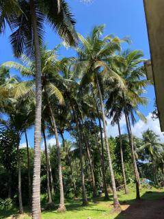 The Coastal Cove!! Your little escape by the sea - 1