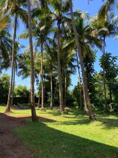 The Coastal Cove!! Your little escape by the sea - 1