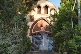 Green Oasis House - 9