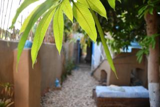 Green Oasis House - 3