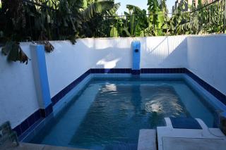 Green Oasis House - 2