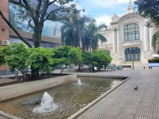 Paseo del Teatro - Peatonal San Martin - Seguridad Privada 24hs - 6