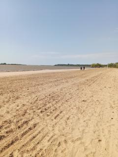 Rincón Bosc - 2