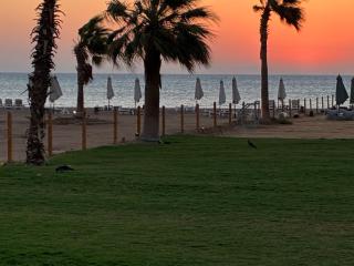 El Gouna Mongroovy M10 C - 5