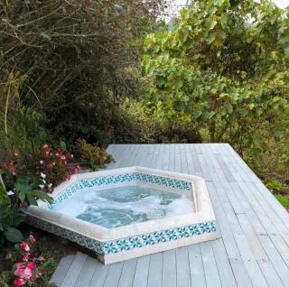 La Photinia - 3