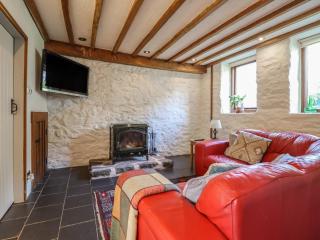 Pandy Farmhouse - 7