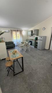 Greenhouse B&B Frosinone - 7