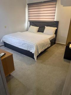 Anzah's luxury apartment - 2