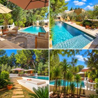 Villa del Pinar - 4