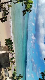 Brisas de Zoe Beachfront Apartment - 1 Bedroom - Pool - 2