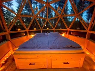 Treehouse Dome in the Wilderness - 8