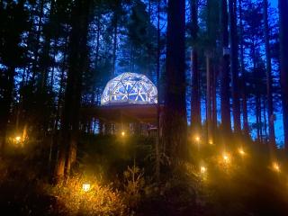 Treehouse Dome in the Wilderness - 4