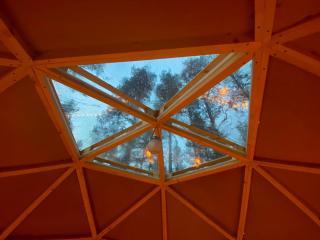 Treehouse Dome in the Wilderness - 2