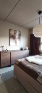 Arctic Design Home City Center - Sauna & River - 5