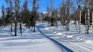High end large mountain cabin with panoramic views - 9