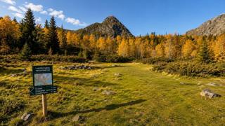 High end large mountain cabin with panoramic views - 8
