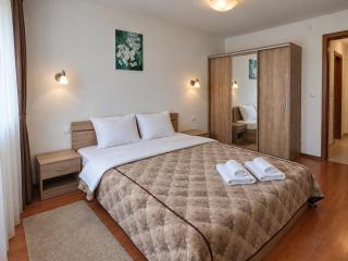 Belvedere 2-Bedroom Apartment with Terrace - Bansko - 6