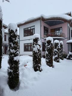 Kashmir Homestay - 9