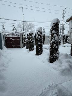 Kashmir Homestay - 3