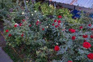 Heart of Goris!!! Center B&B - 1