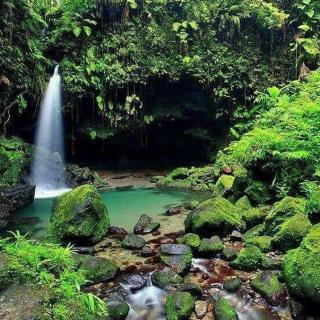 Lime Emerald Apartment at Misty Lodge, Dominica - 7