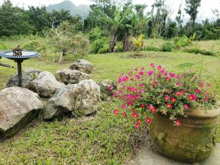 Lime Emerald Apartment at Misty Lodge, Dominica - 6