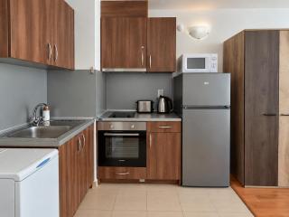Belvedere 2-Bedroom Apartment with Terrace - Bansko - 2
