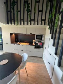 Duplex-Coeur de Montagne-Puyvalador - 6
