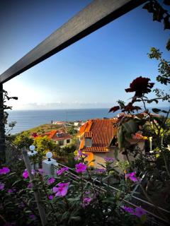 Adega Do Avô, Madeira Island - 8