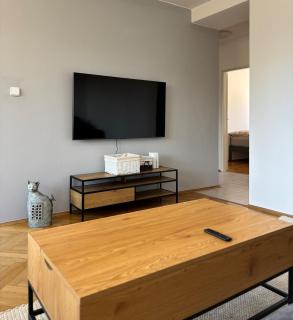 Apartmán v Novém Městě na Moravě - 5
