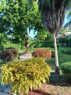 Coco house - 5