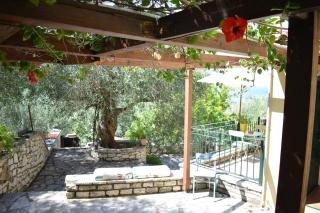 Mary's Olive tree Studio - 9