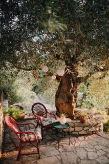 Mary's Olive tree Studio - 3
