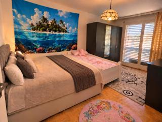 3 room apartment with lake view and free parking - 6