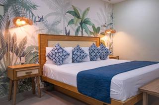 La Iguana Vallarta LGBT ADULTS ONLY - Romantic Zone - Party Clubbing Street - 8