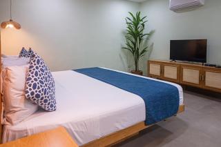 La Iguana Vallarta LGBT ADULTS ONLY - Romantic Zone - Party Clubbing Street - 7