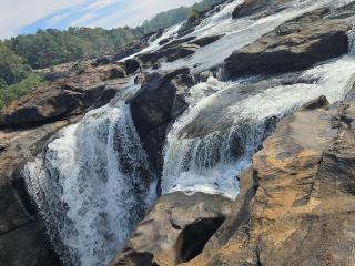 Wings Of Athirappilly - 1