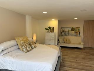 Bright King Studio ,Two blocks from Parque 93 - 6