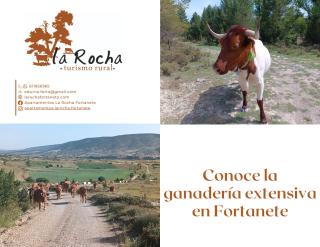 Apartamentos de Turismo Rural La Rocha - 0