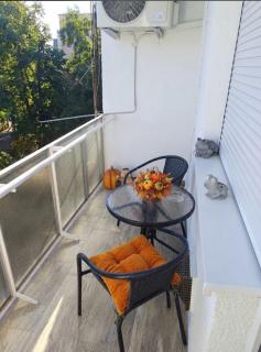 Jucus Apartman - 1