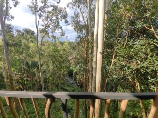 The Serenity River Eco Lodge - 5