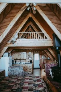 The Papa Bear Cabin - Bear Creek Cabins - 0