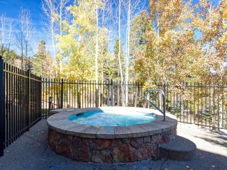 Luxury 1 Bedroom Mountain Vacation Rental In Breckenridge With Access To A Hot Tub And Heated Garage Parking - 1